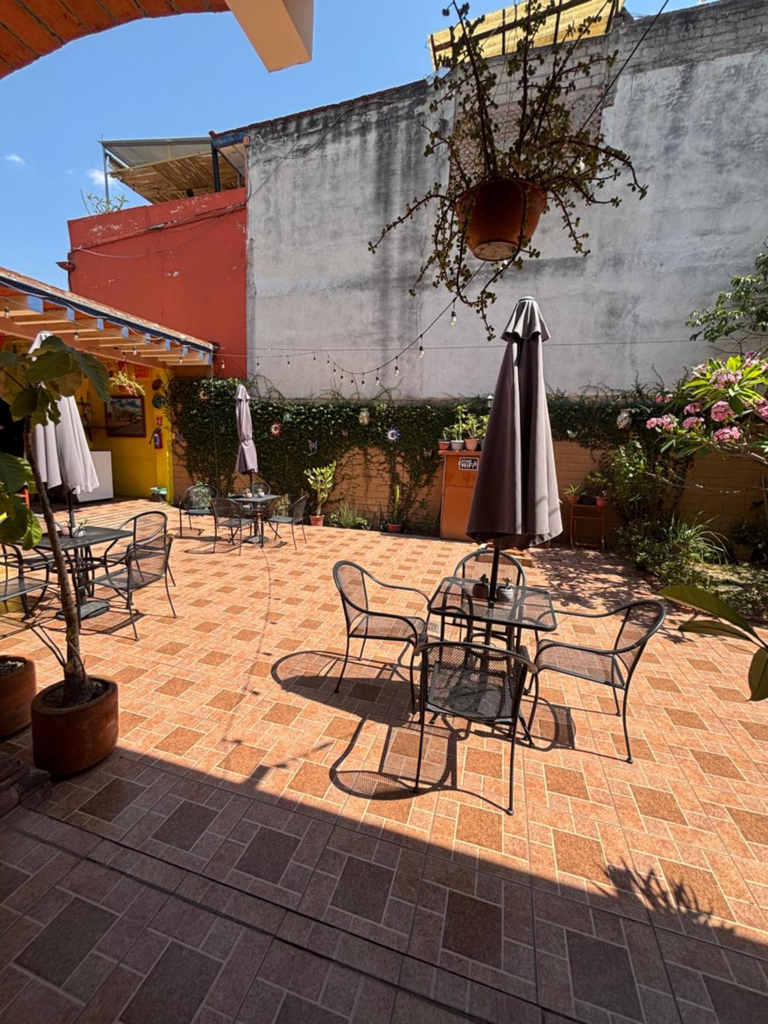 Hotel Posada "Mi Rosita" オアハカ州 エクステリア 写真