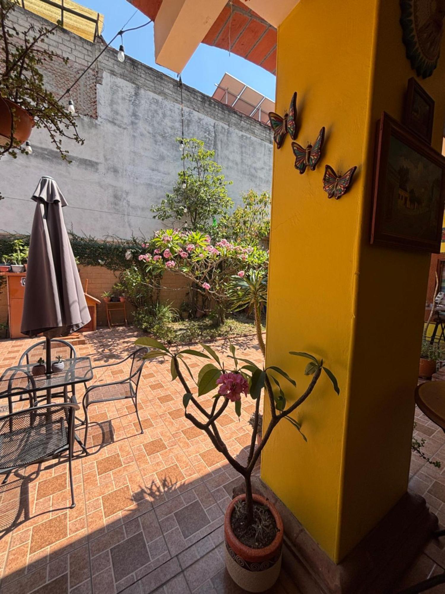 Hotel Posada "Mi Rosita" オアハカ州 エクステリア 写真